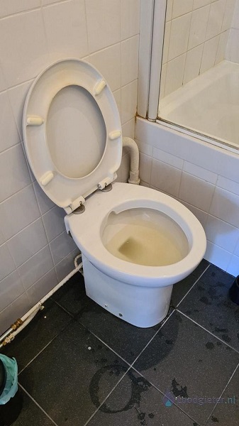  verstopping toilet Wijk bij Duurstede